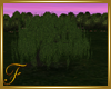 F: Tree