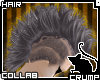 [C] Sphynx V.3 Hair