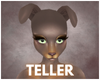 teller ⋯ ears 3