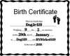 Custom Birth Certifictae