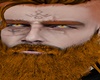 Ginger Eyebrow