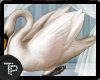 [TP] White Swan 2 (ENH)