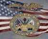 US Army Rug
