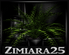 [ZM] Dark Plant