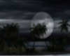 Night Island