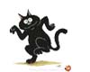 Dancing Black Cat