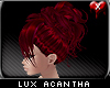 Lux Acantha
