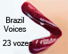 [Panni]Vozes Brasileiras