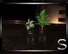 !!Always Plant