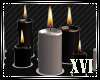 XVI | PHB Candles