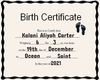 Custom Birth Certificate