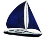 taz yacht 7
