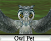 (A) Owl Pet