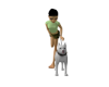 Pose dog pitbull white