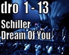 dream of you