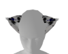 Dalmatian ears