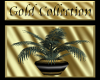 {LB}Golden Cafe Plant