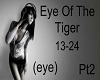 Eye Of The Tiger