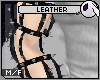 ~DC) Leather Flex Brace
