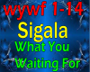 SigalaWhat You Waitg for