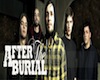 After The Burial Poster