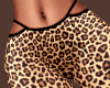 𝕯 Leopard Pant HSL