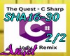 SHA16-30-The quest-P2