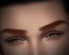 [D] Browser Ginger V1