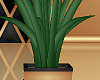 [AG] --'opolis plant 3