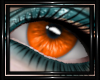 !T! Eyes | Vionette O