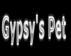 Gypsy's pet collar