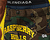 Gv Gallery Shorts