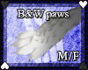 B & W Paws