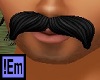 !Em Black Mustache Burt