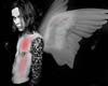 HIM angel wings