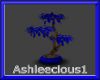 Blue Tree Plant