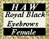 Royal Black Eyebrows - F