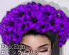 [E]*Purple Flower Crown*