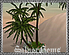 :SG: GROTTO PALM TREES 1