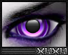 [Xu] Robo Purple (M)