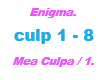 Enigma /Mea Culpa