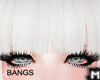 M' Bangs Albino White