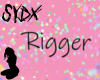 Rigger Head Sign