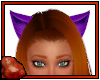 *C Kitty Ears Purple