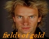 sting fields of gold