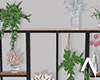 Modren Plant Shelf