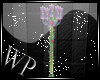 :WP: Pillar Candles_Derv