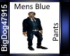 [BD] Mens Blue Pants