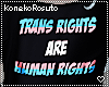 *KR* Trans Rights