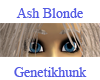 Ash Blonde Female